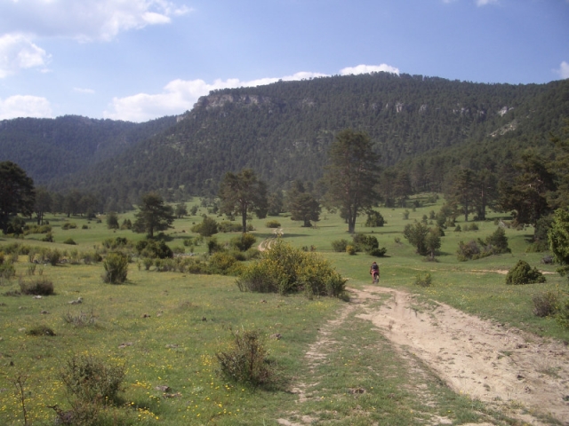 Mountain bike en el campo